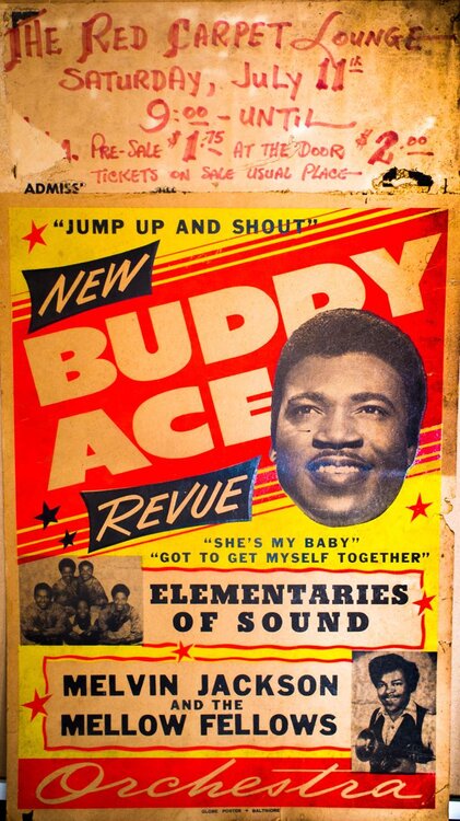 Buddy Ace.jpg