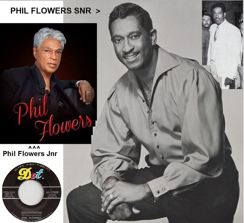 DCPhilFlowers2.jpg