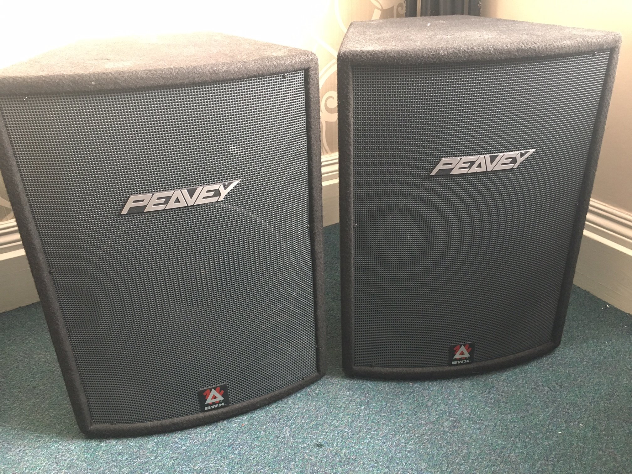 Peavey 2024 hisys 2xt