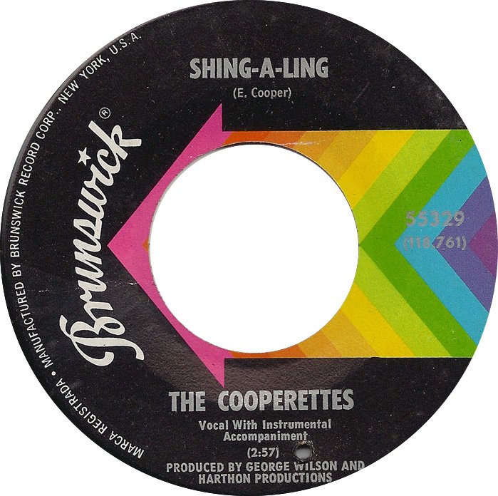 the-cooperettes-shingaling-brunswick-2.jpg.49264b6609a152cd283fc35391f7b1ac.jpg