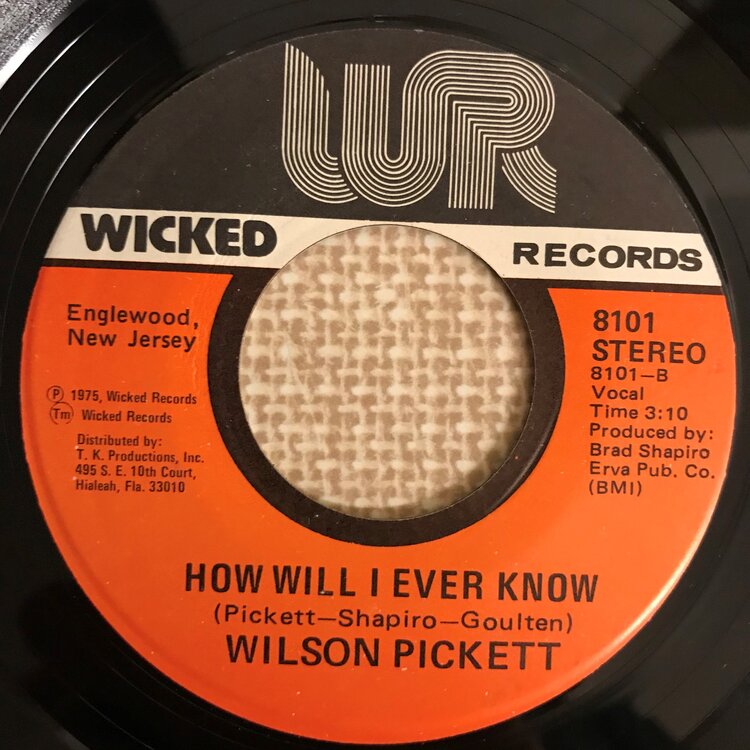 Wilson Pickett.JPG