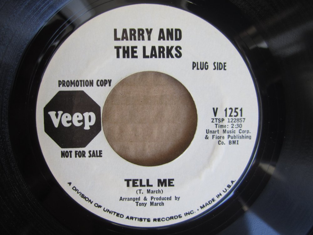 Larry and the Larks - tell me VEEP.JPG