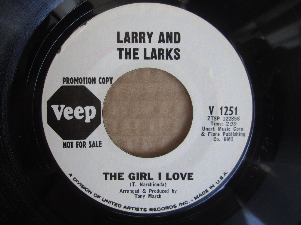 Larry and the Larks - the girl i love VEEP.JPG