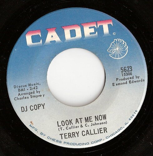 cadet - terry callier