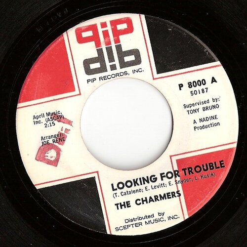 pip - charmers