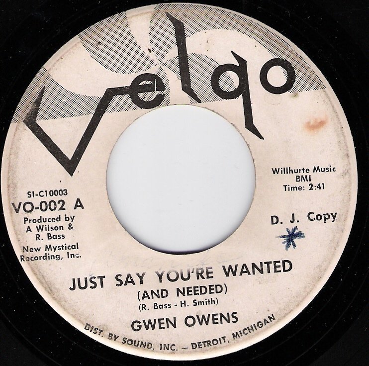 Gwen Owens - Wanted and Needed - Velgo WDemo.jpg