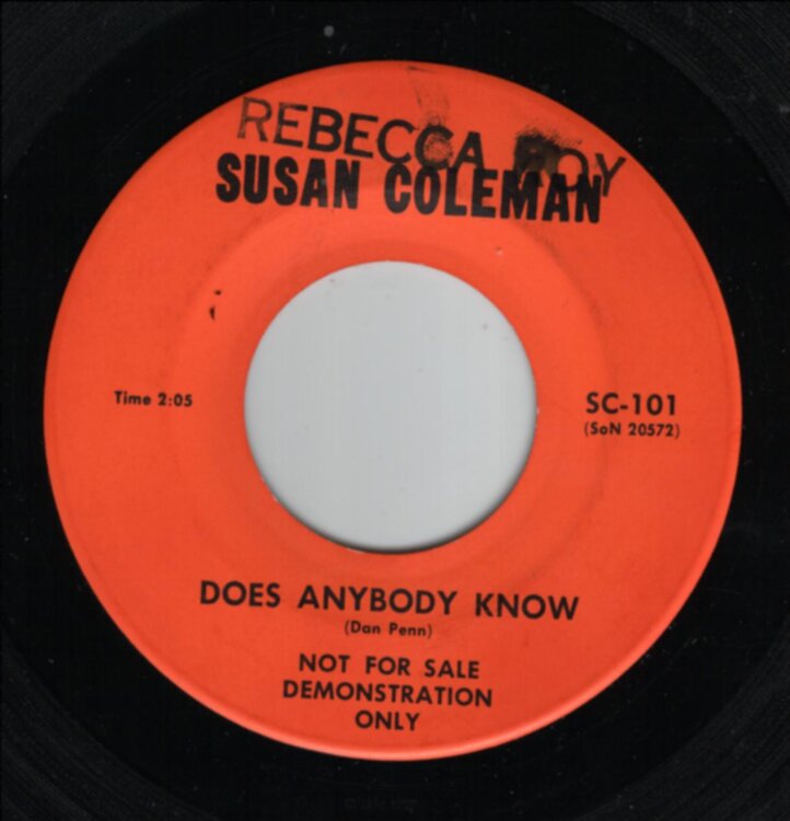 Susan Coleman - Does anybody know.jpg