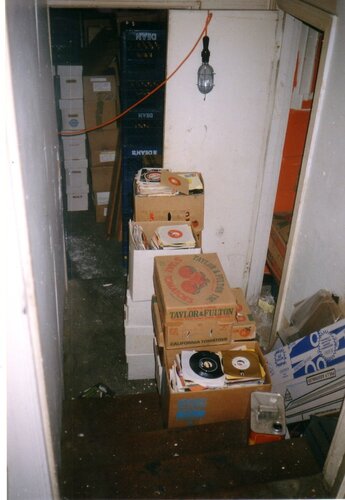 river records basement memphis 1995 a