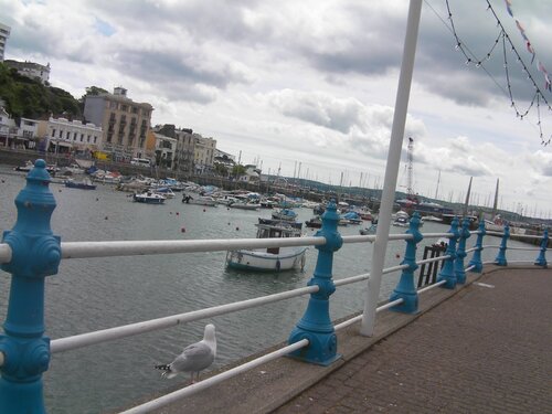 torquay p5-2011 torquay harbour 2