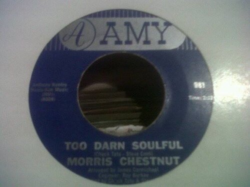 morris chestnut - too darn soulful