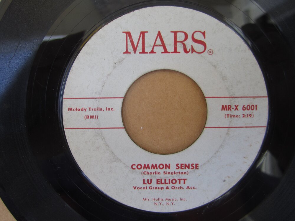 Lu Elliott - common sense MARS.JPG