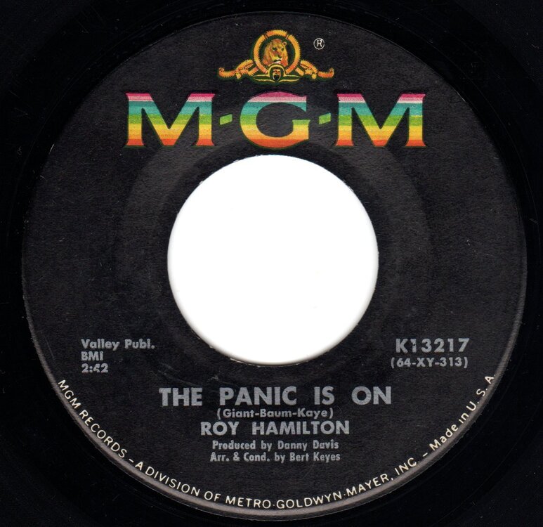 36 Roy hamilton The panic is on.jpg