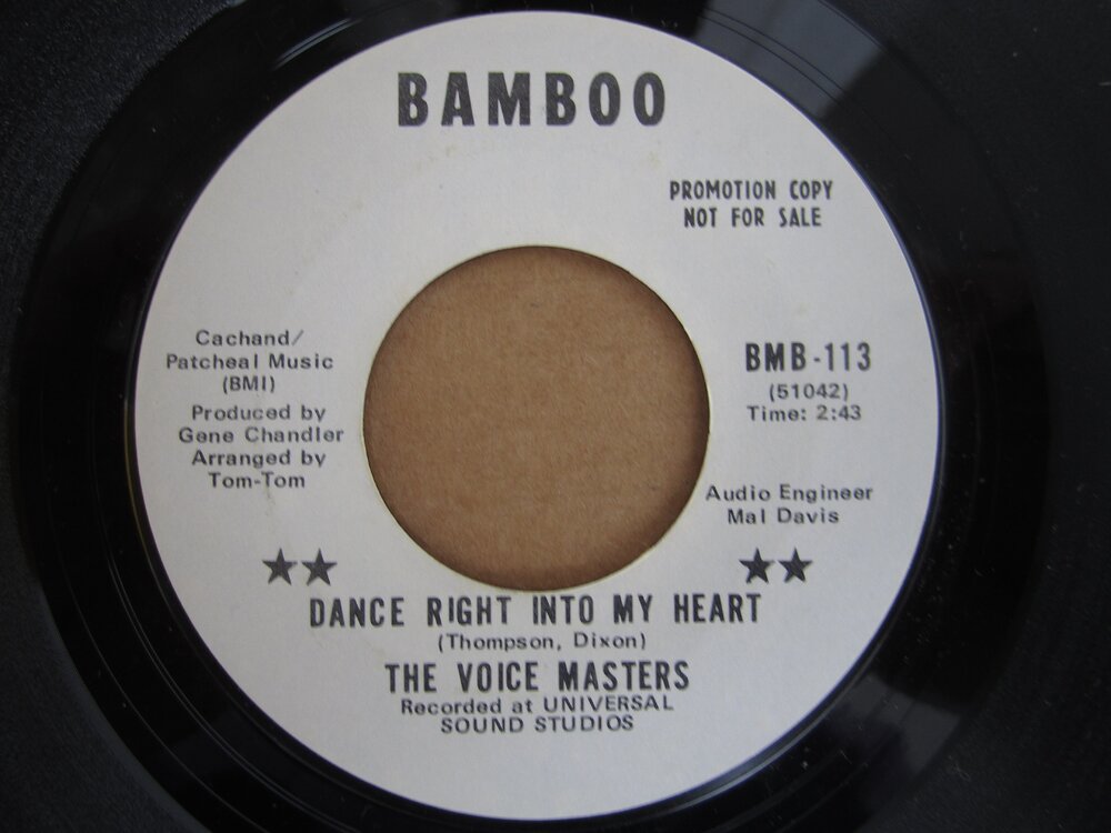 Voice Masters - dance right into my heart BAMBOO.JPG