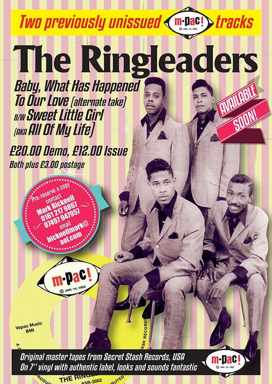 The Ringleaders Promo A5-1.jpg