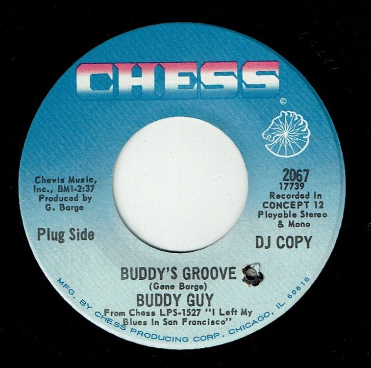 buddyguybuddysgroove.jpeg