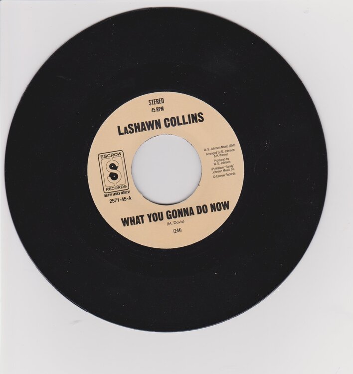 LaShawn Collins - What You Gonna Do Now 001.jpg