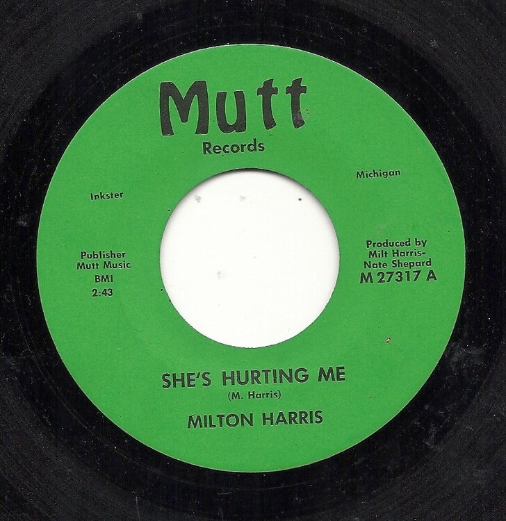 MiltonHarris-She'sHurtingMe-MuttIssue0001.jpg