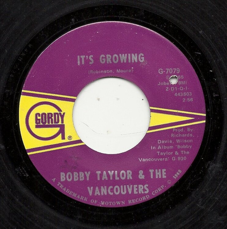 BobbyTaylor-ItsGrowing-GordyIssue0001.jpg