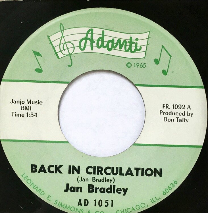 Bradley, Jan - Back In Circulation.jpeg