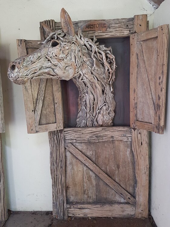 Driftwood Stallion 2.jpg