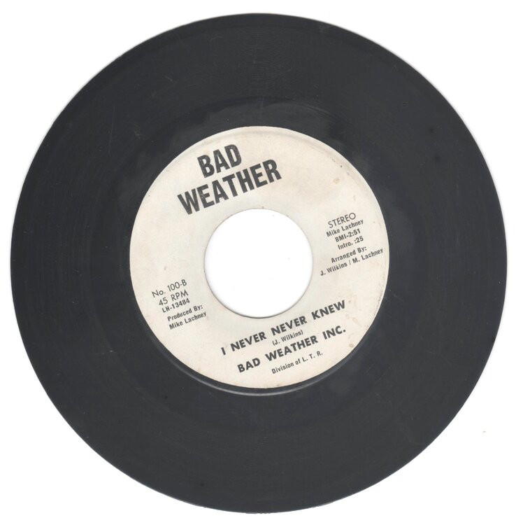 Bad Weather Inc - I Never Knew.jpg