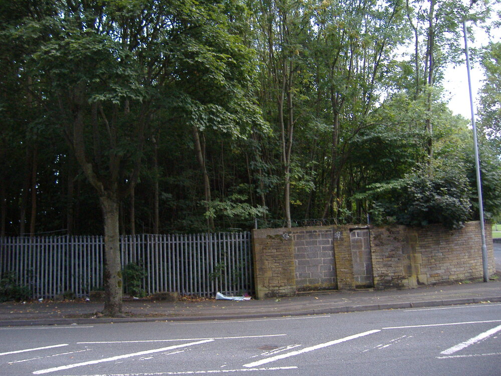 overgrown terracing @ old BPA FC ground  07.09.18.JPG