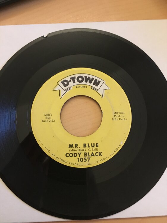 Cody Black - Mr Blue 2.JPG