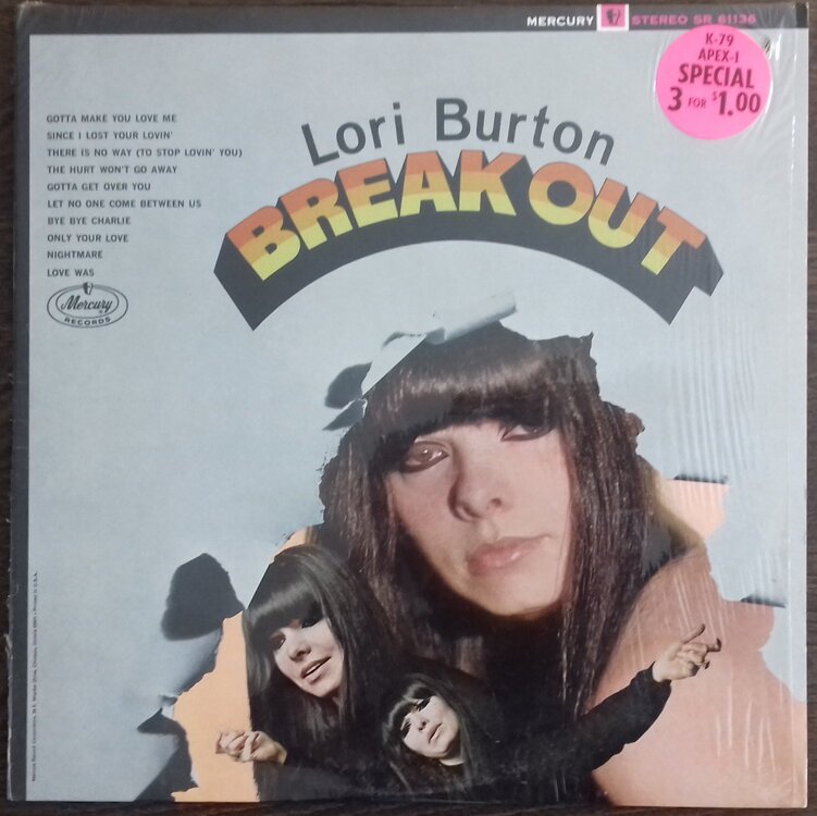 690. LORI BURTON.jpg