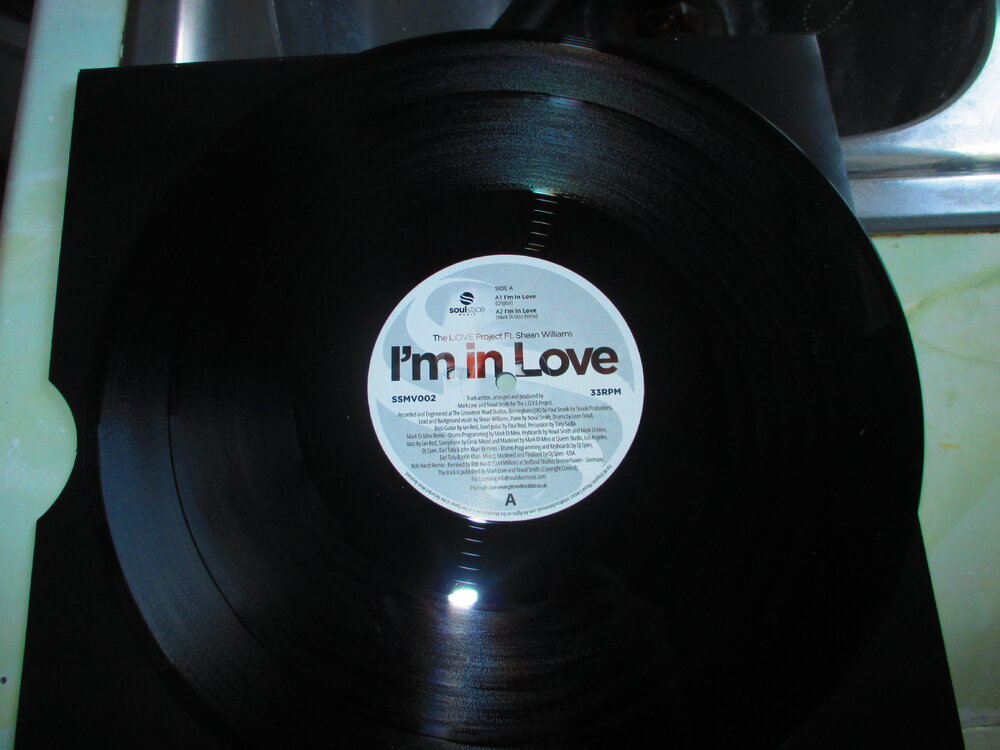 The Love Project - Im In Love.JPG