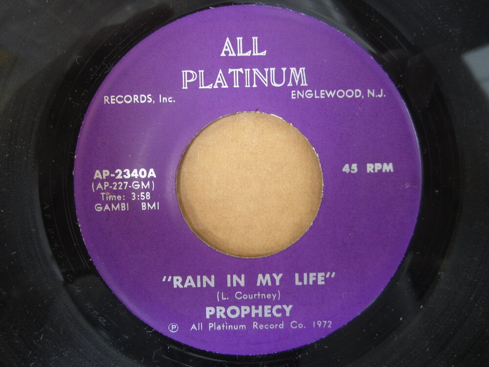 Prophecy - rain in my life ALL PLATINUM.JPG