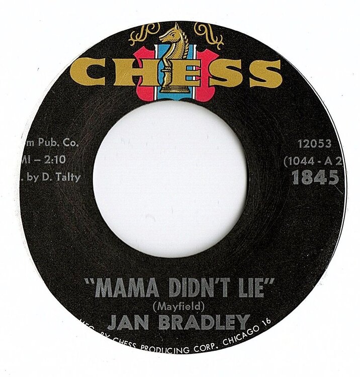 Jan Bradley.jpg