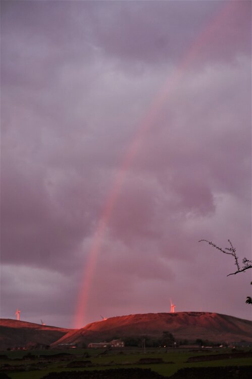 red rainbow.jpg