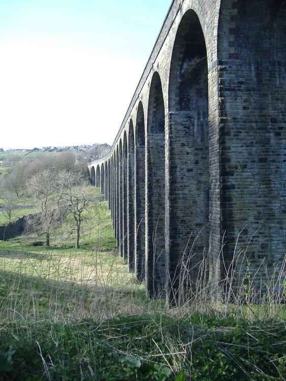 673497186_ThorntonViaduct14_04_20.thumb.JPG.52b0451ff54391c574f8407f4a979901.JPG