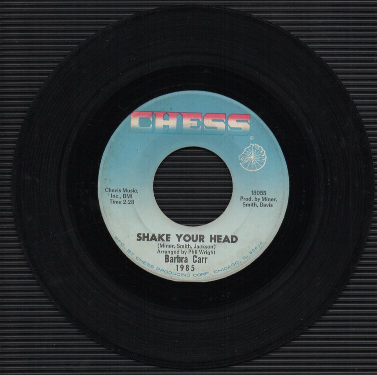 Barbara Carr - Shake Your Head011.jpg