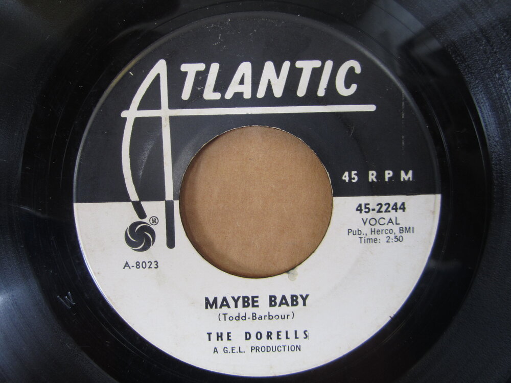 Dorells - maybe baby ATLANTIC.JPG