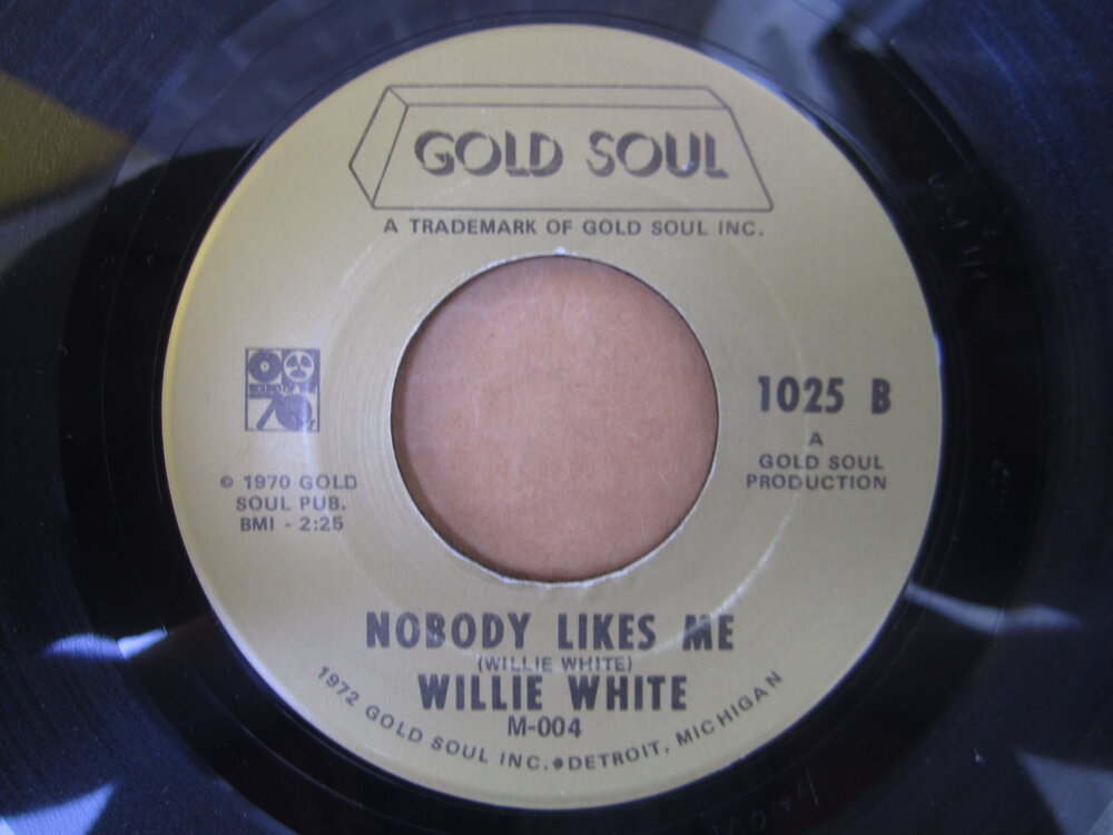 Willie White - nobody likes me.JPG