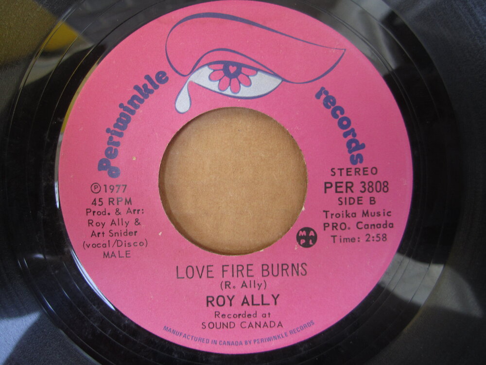 Roy AllY - love fire burns PERIWINKLE.JPG