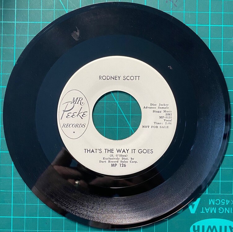 rodney scott - thats the way it goes.jpg