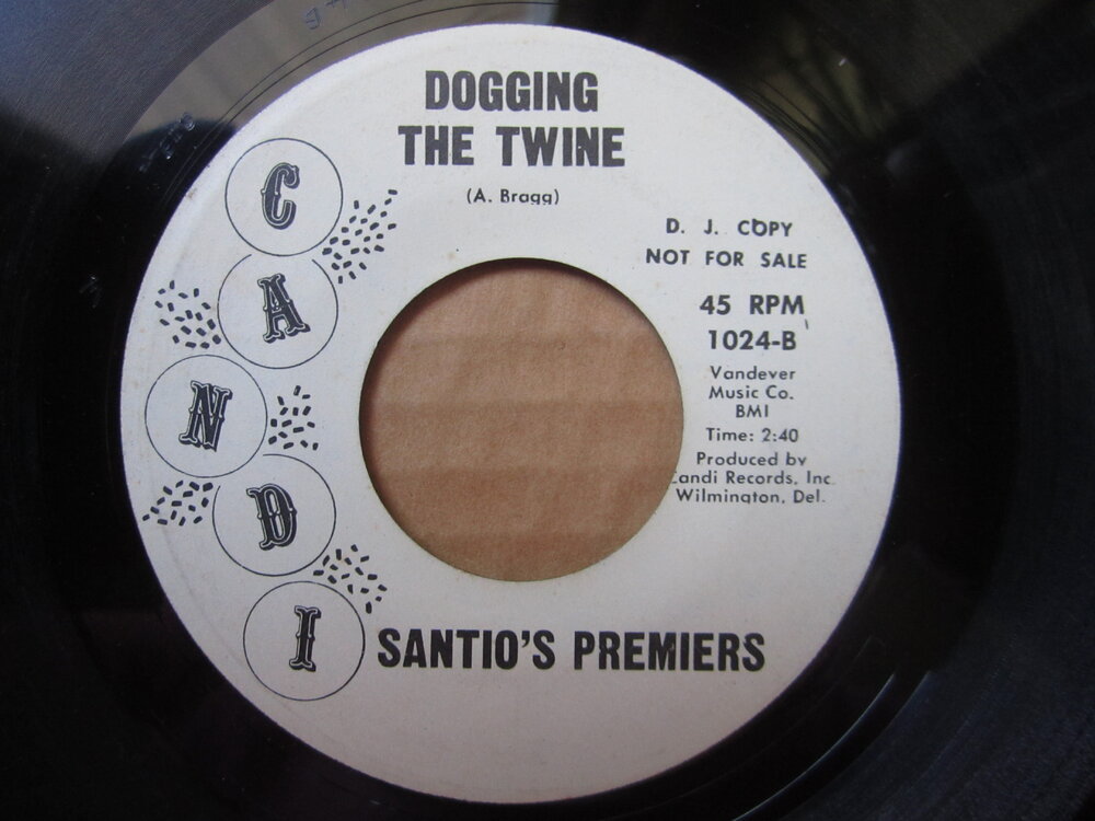 Santio's Premiers - dogging the twine CANDI.JPG