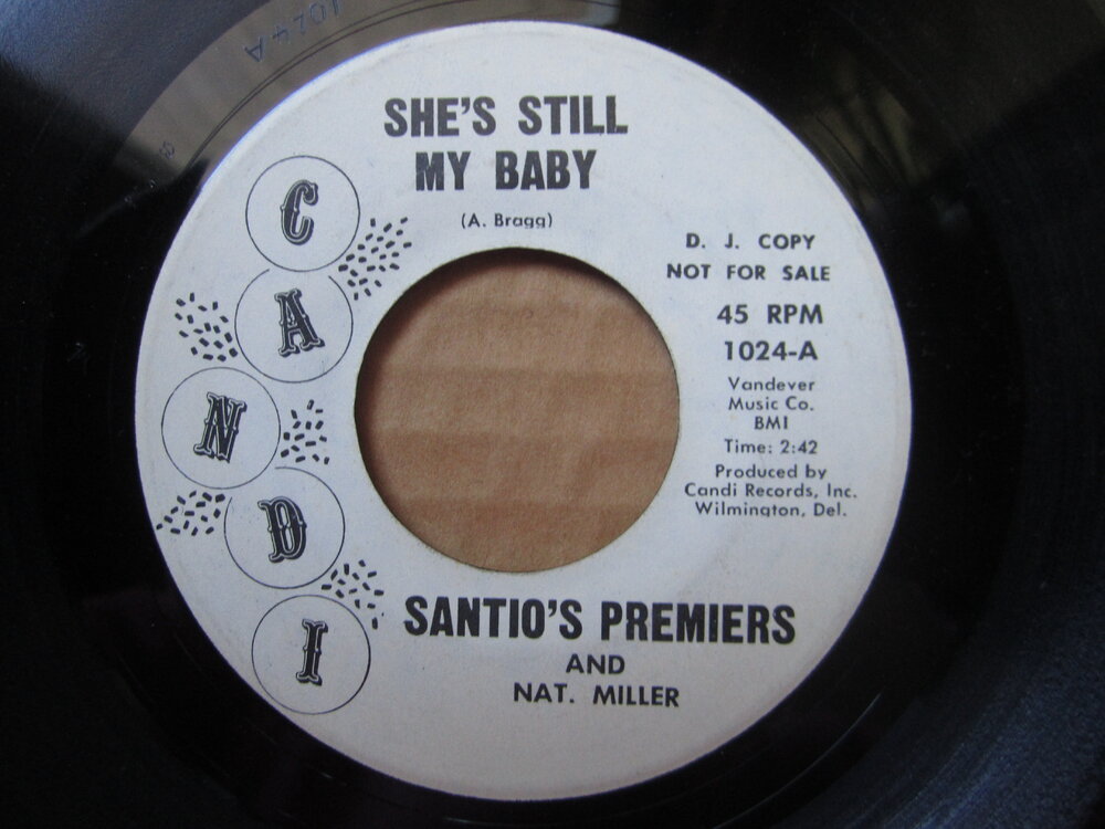 Santio's Premiers - she's still my baby CANDI.JPG