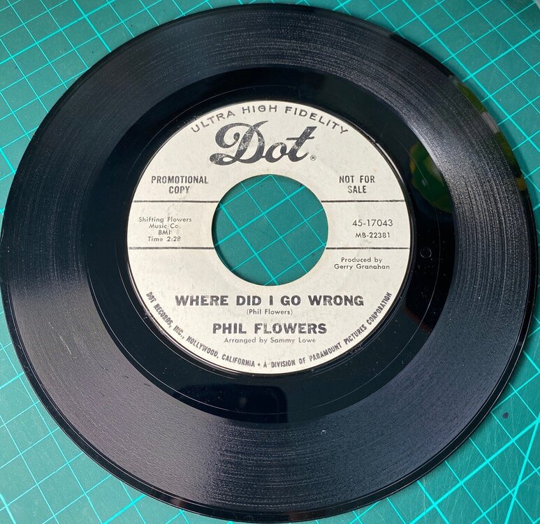 phil flowers - where did i go wrong.jpg