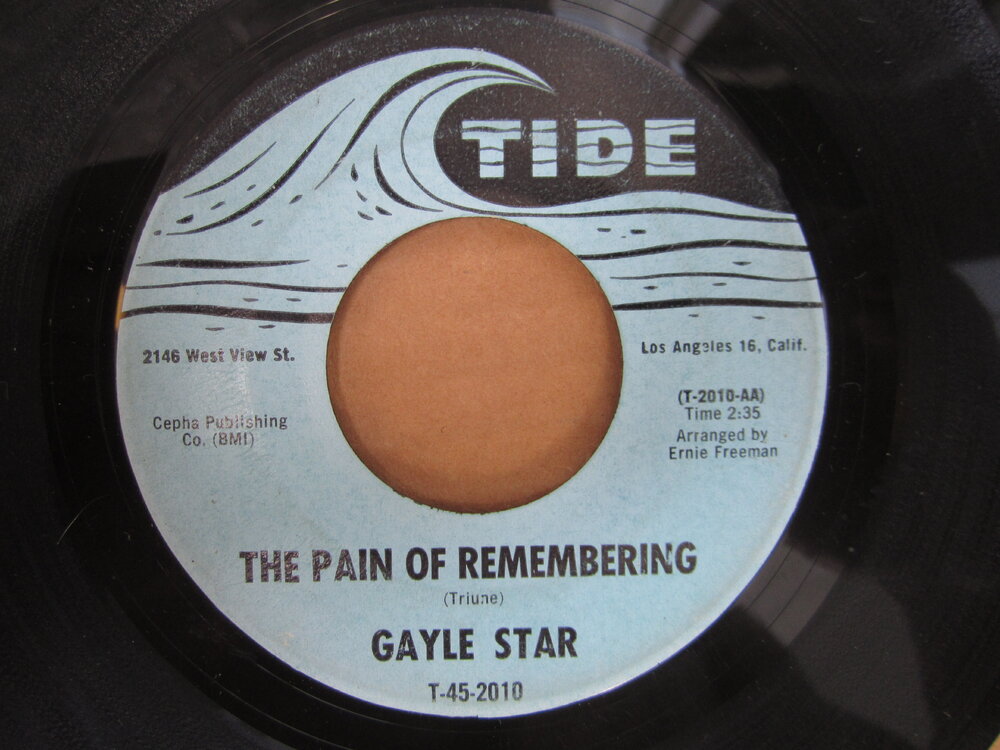 Gayle Star - the pain of remembering TIDE.JPG