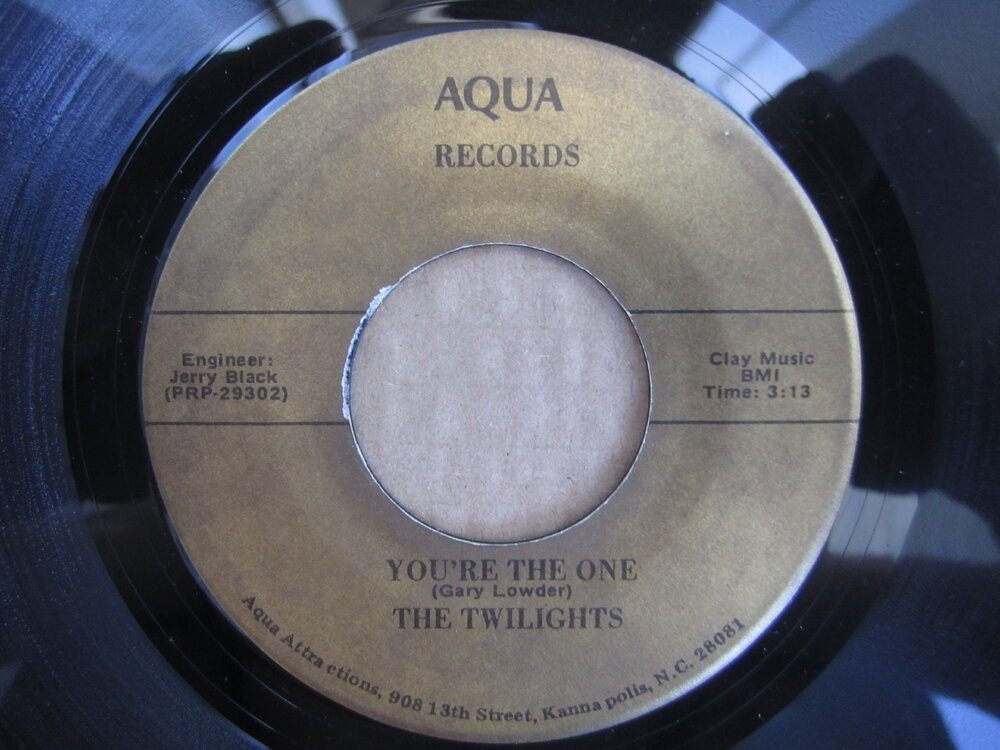 Twilights - you're the one AQUA.JPG