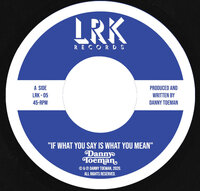 Danny Toeman - If What You Say Is What You Mean - LRK Records image