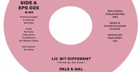 45 - Pals & Gal - Lil Bit Different -  Epsilon Record Co EPS025 image