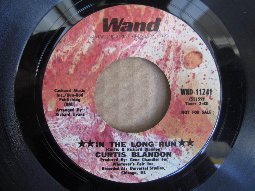 Curtis Blandon - in the long run WAND.JPG