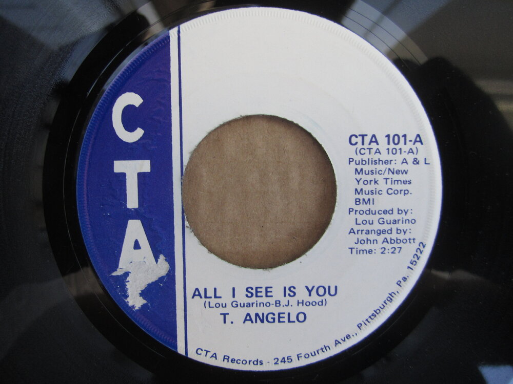 T. Angelo - all i see is you CTA.JPG