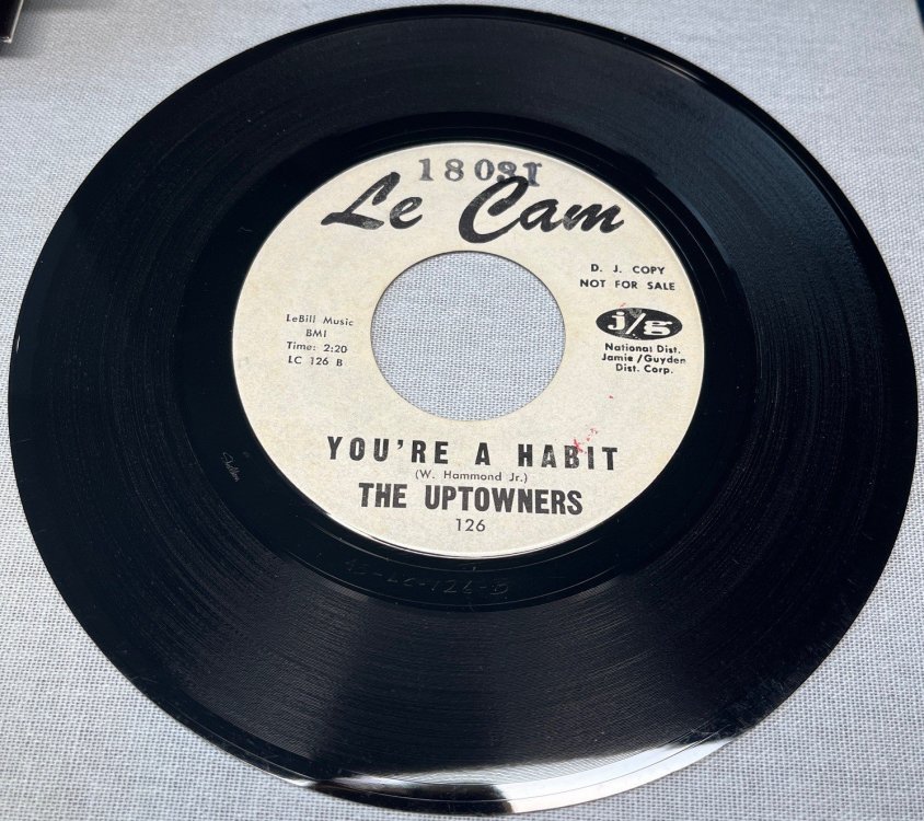 uptowners - you're a habit [le cam demo].jpg