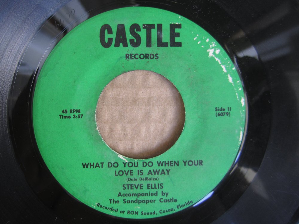 Steve Ellis - what do you do when your love is away CASTLE.JPG