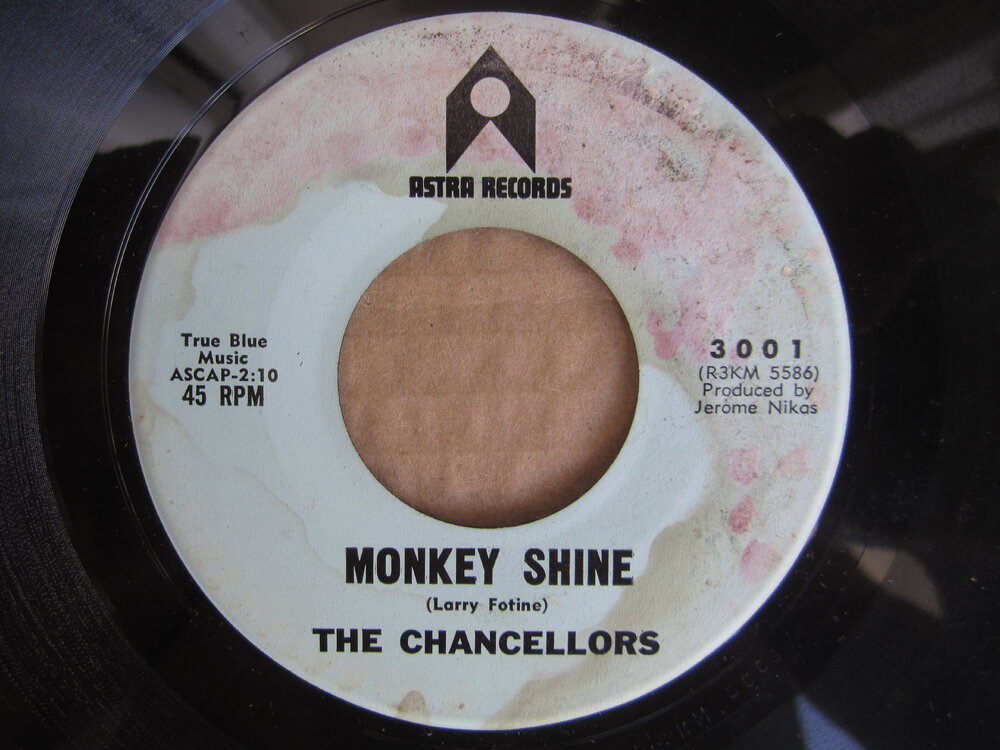 Chancellors - monkey shine ASTRA.JPG